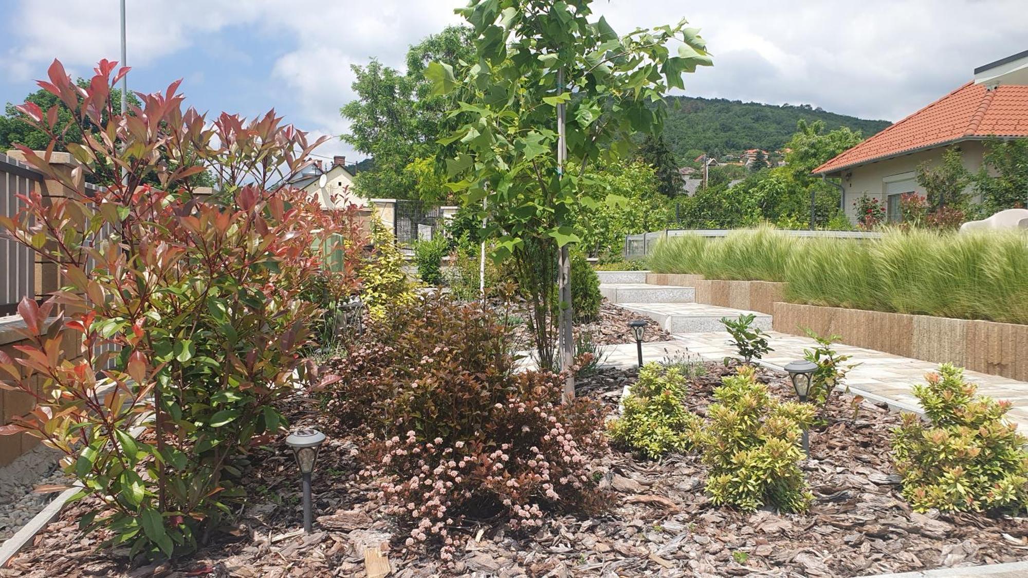 באלאטונפורד Relax Balaton Apartmanok מראה חיצוני תמונה